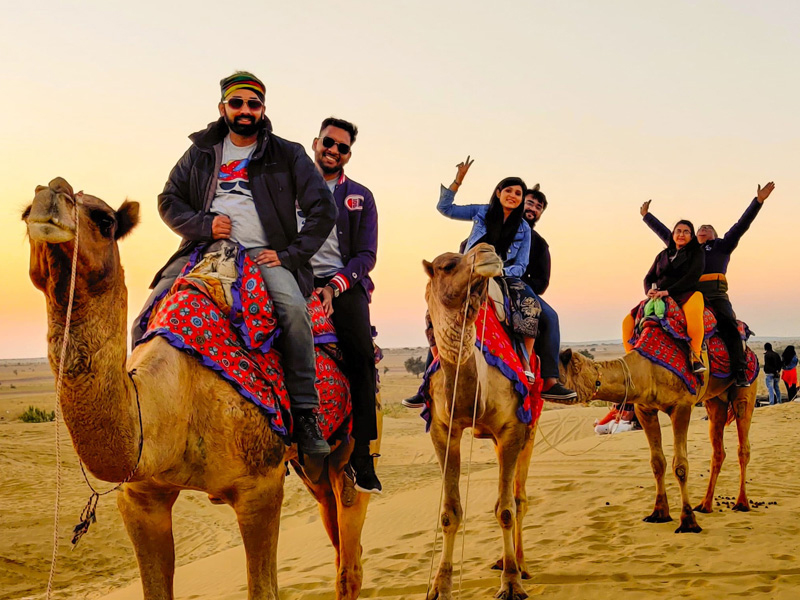Camel safari